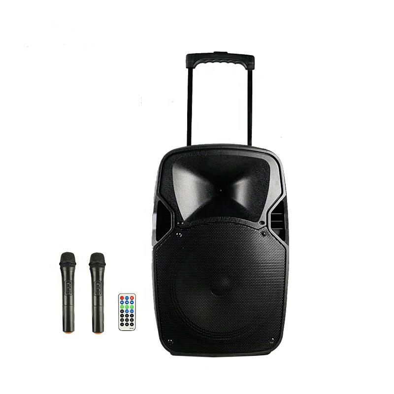 12 inch portable trolley  speaker with 5 EQ control 