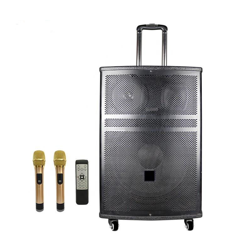 15 inch Trolley speaker 