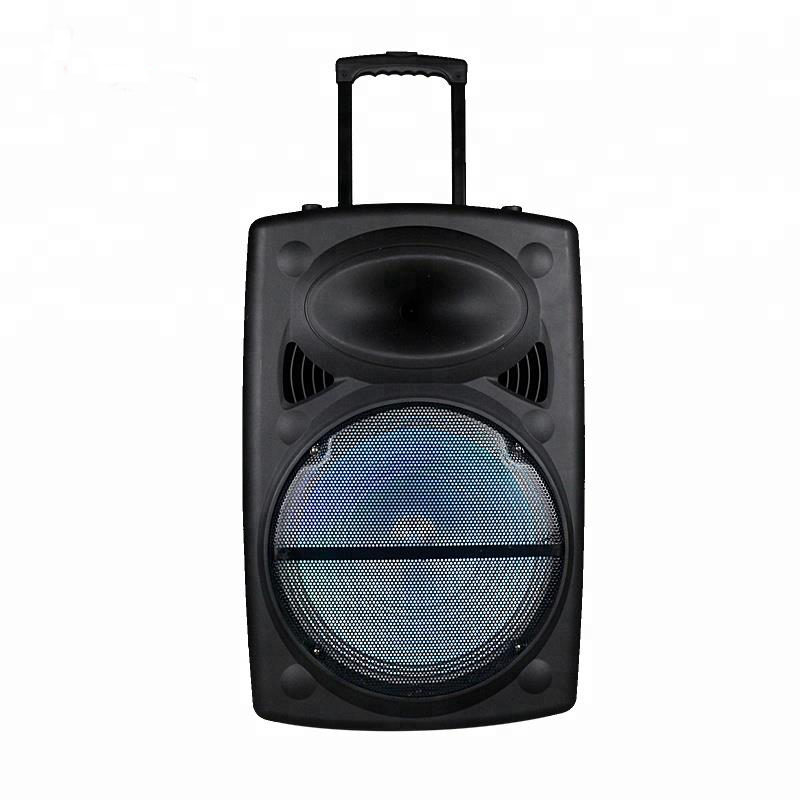 15inch loud trolley portable BT speaker amplifier 