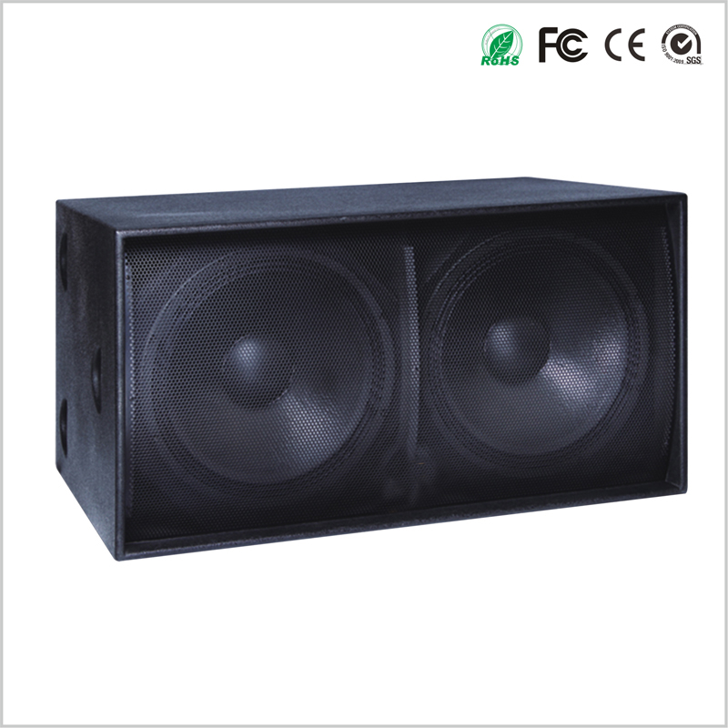 Dual 12 Inch 1200W Subwoofer