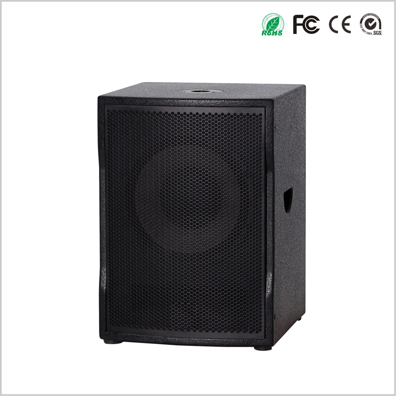 Single 12inhc Active+DSP Subwoofer