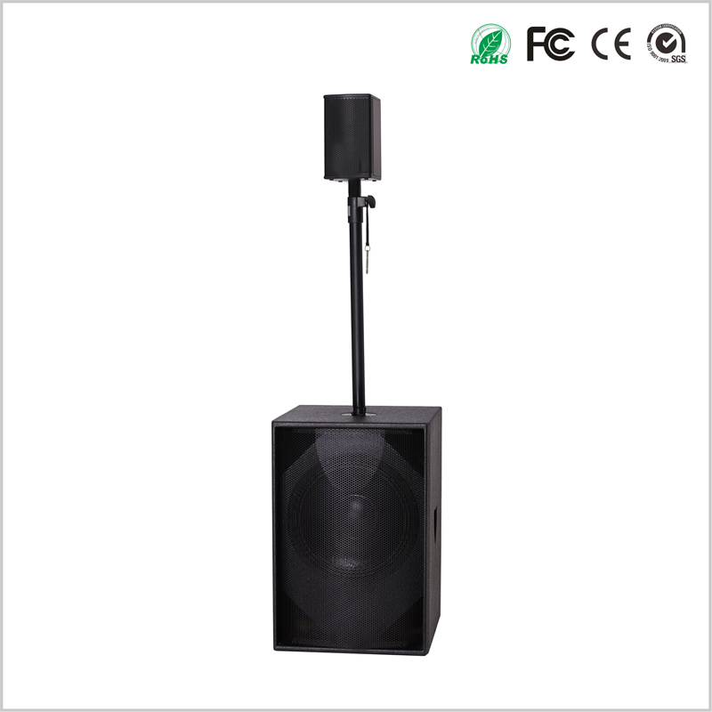 2 Way 4 Inch Column Speaker