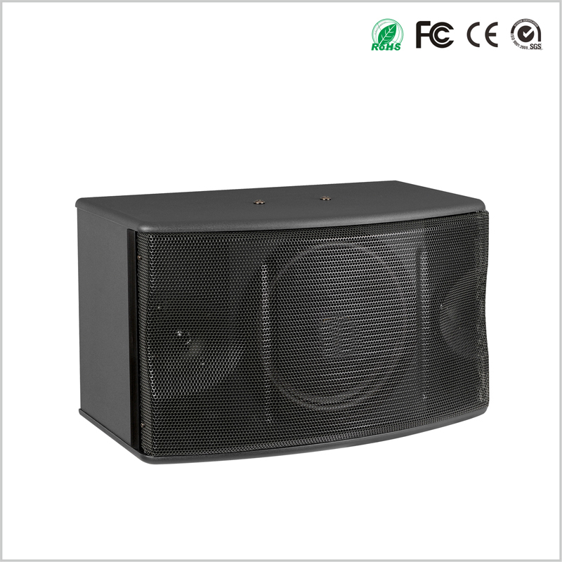 2 Way 10 Inch Karaoke Speaker