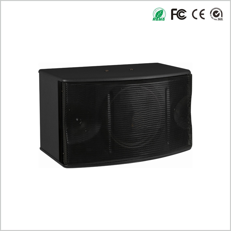 2 Way 10 Inch Karaoke Speaker