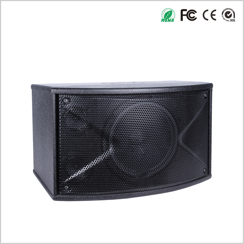 2 Way 10 Inch Karaoke Speaker