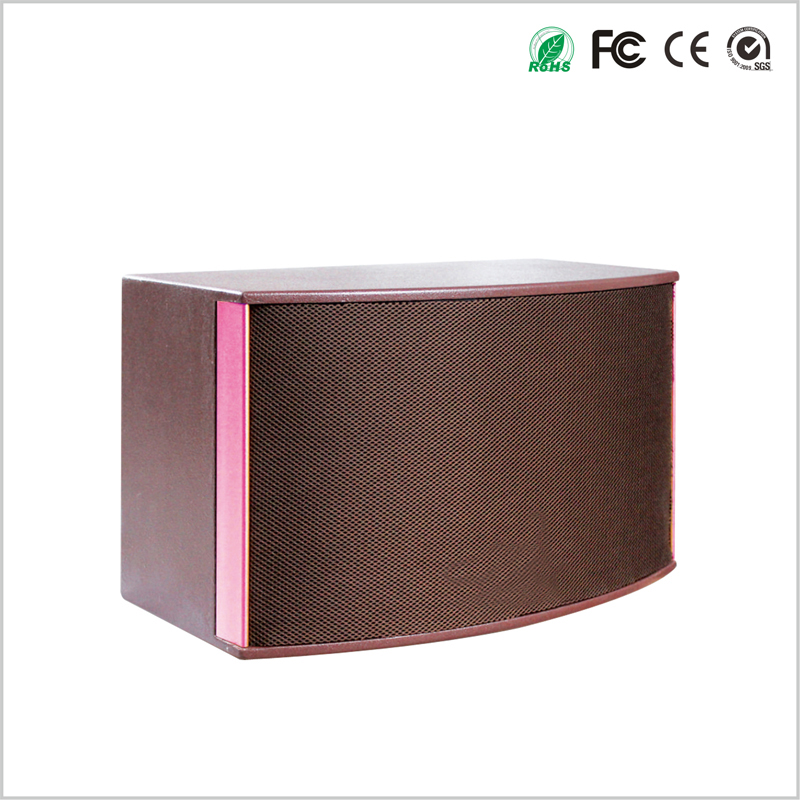 3 Way 10 Inch Karaoke Speaker