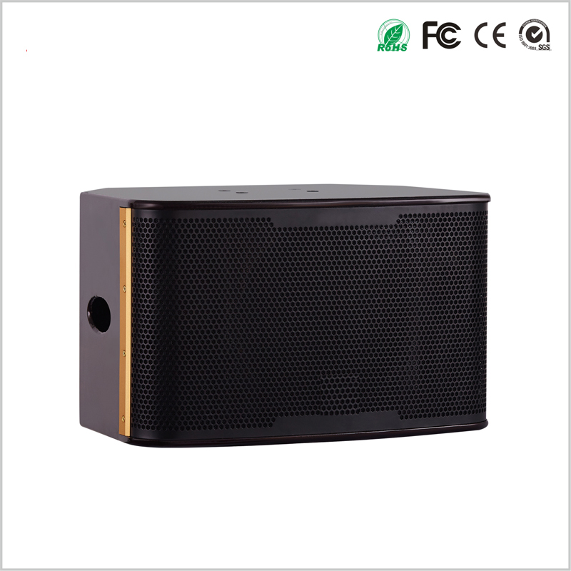 3 Way 10 Inch Karaoke Speaker