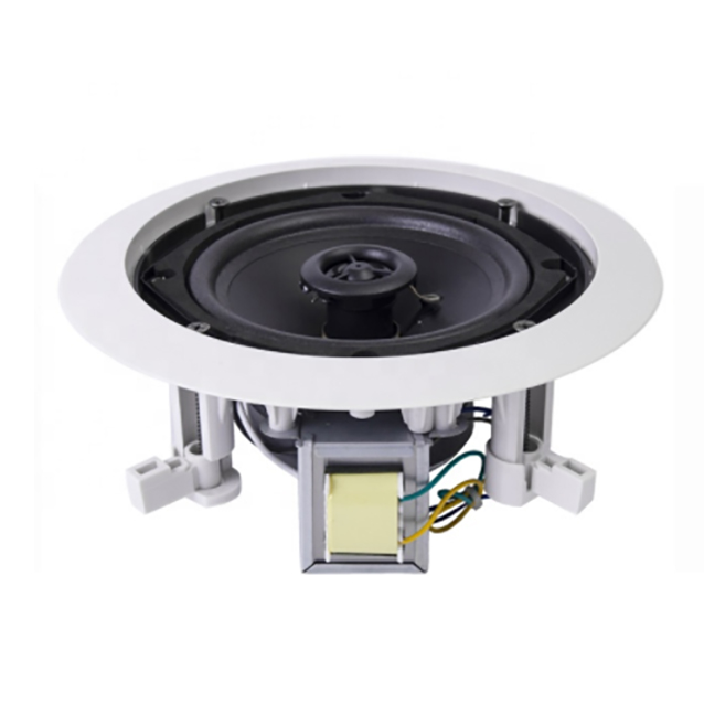 Ceiling speaker 