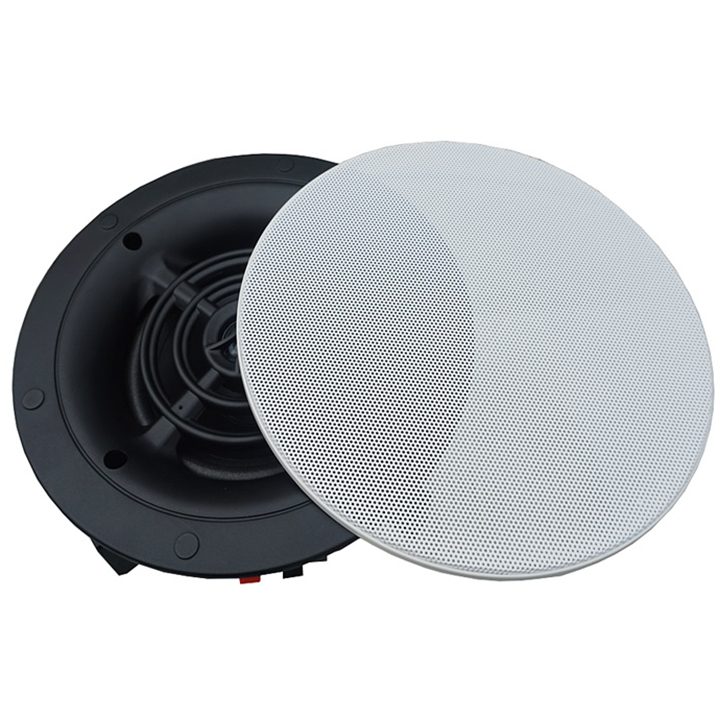 Frameless Ceiling Speaker